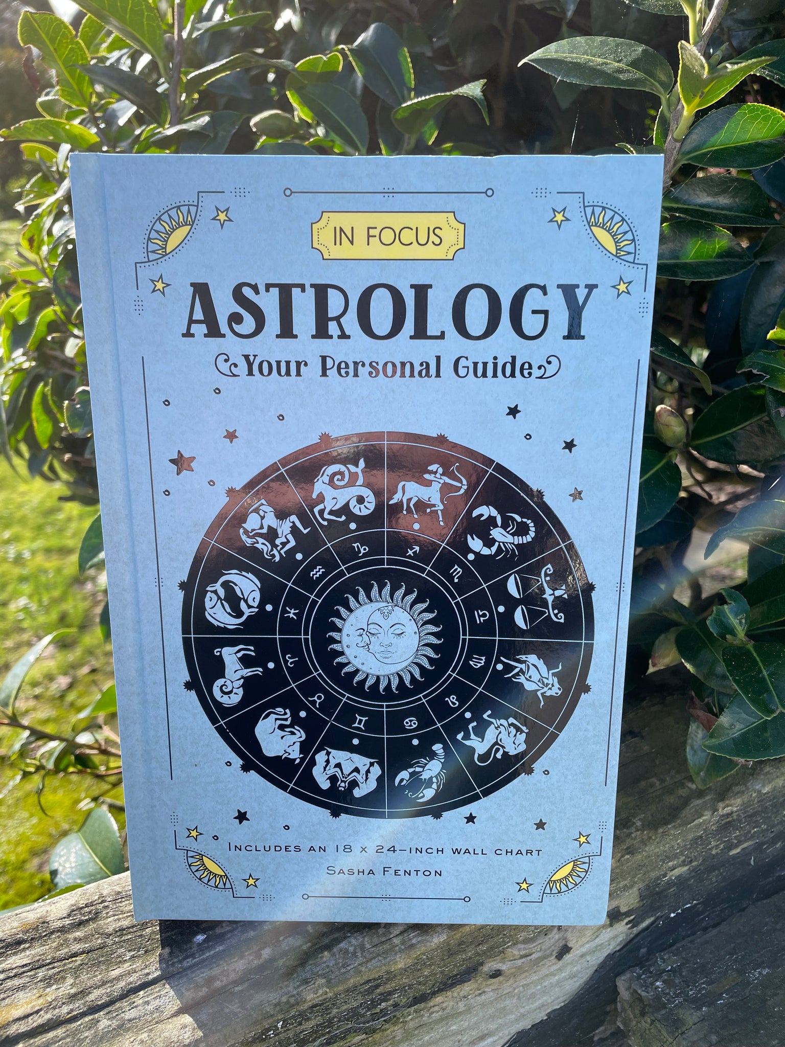 In Focus Astrology Book