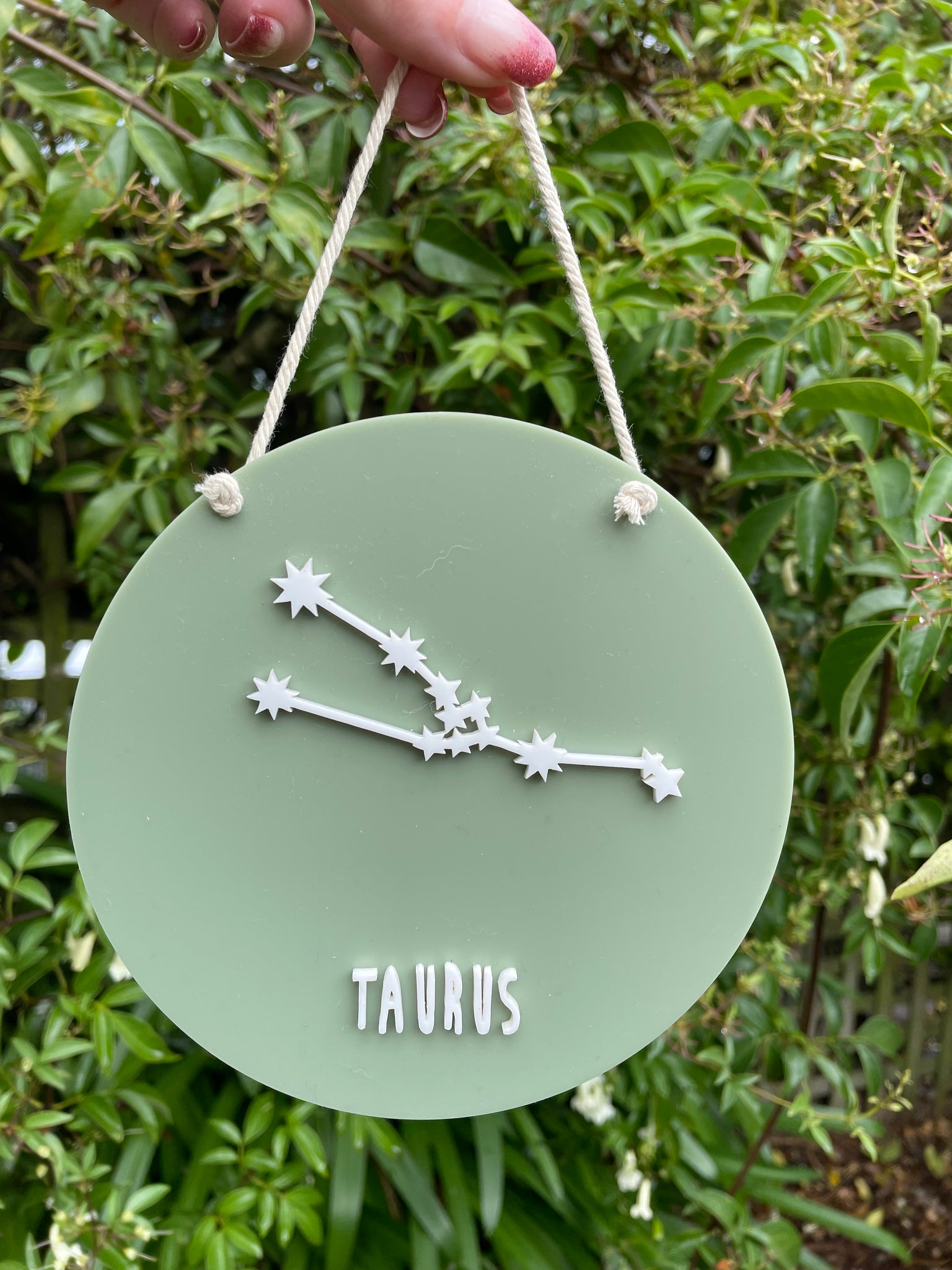 Star Sign Constellation Hanger | Taurus