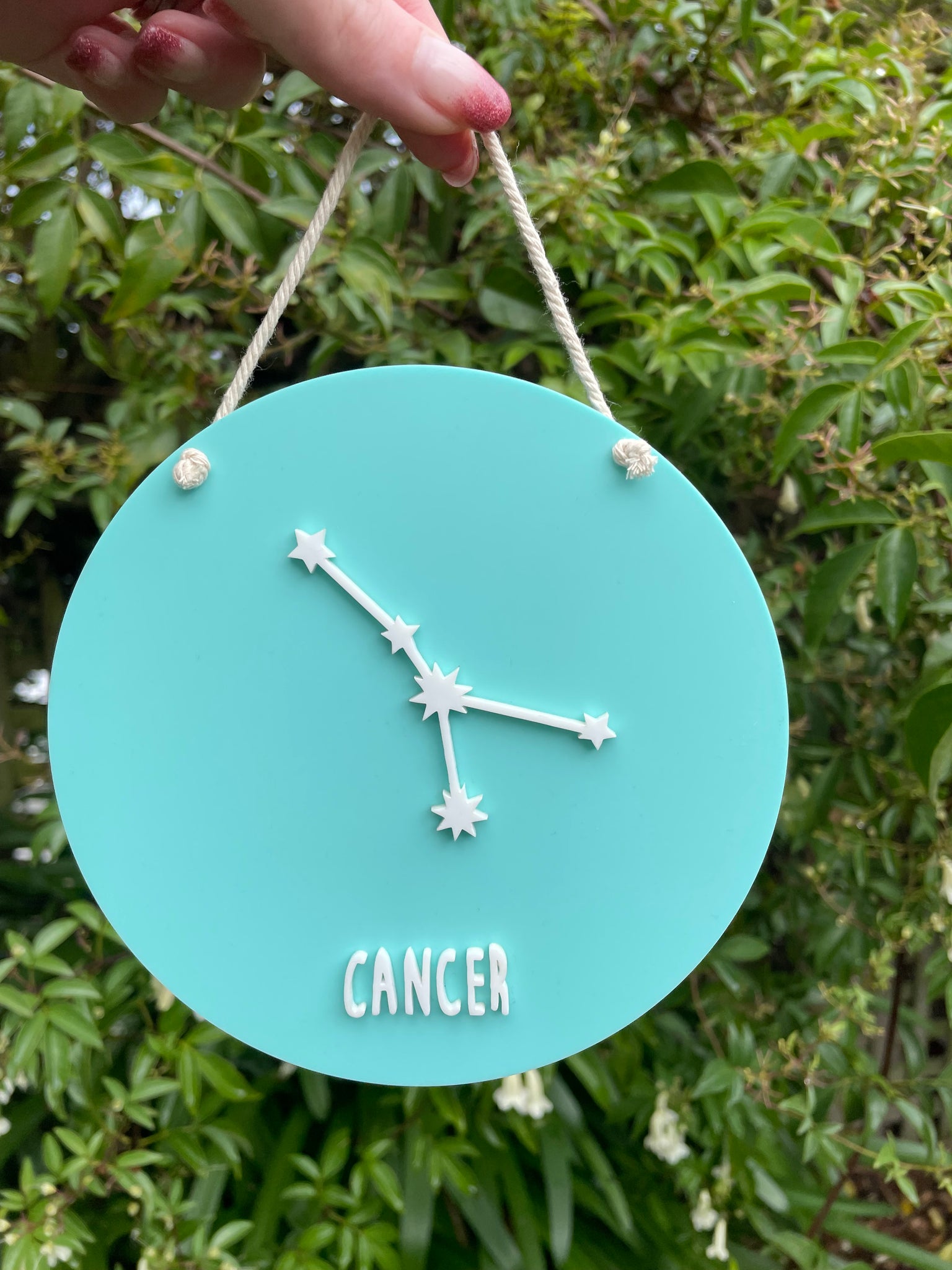 Star Sign Constellation Hanger | Cancer