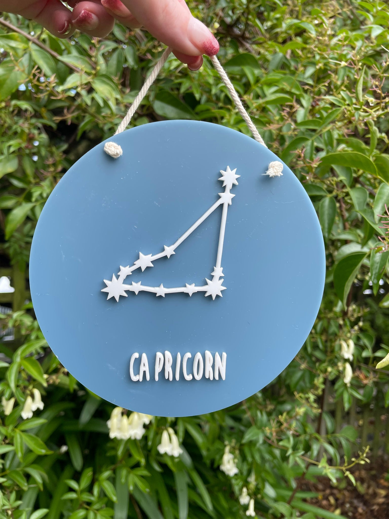 Star Sign Constellation Hanger | Capricorn