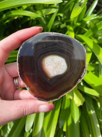 Brown Agate Slice B