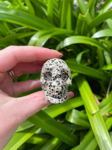 Dalmatian Jasper Skull Medium