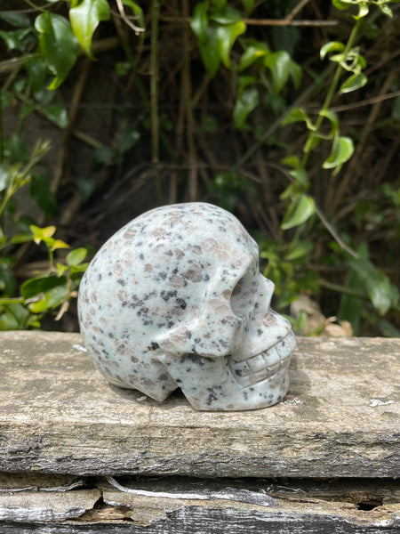 Kiwi Jasper Skull Large
