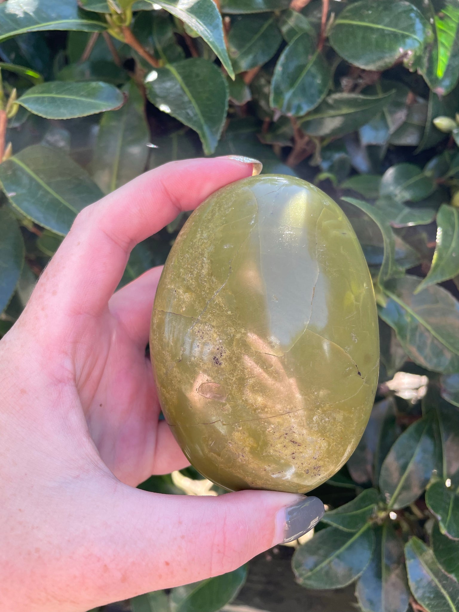 Green Opal Palmstone B