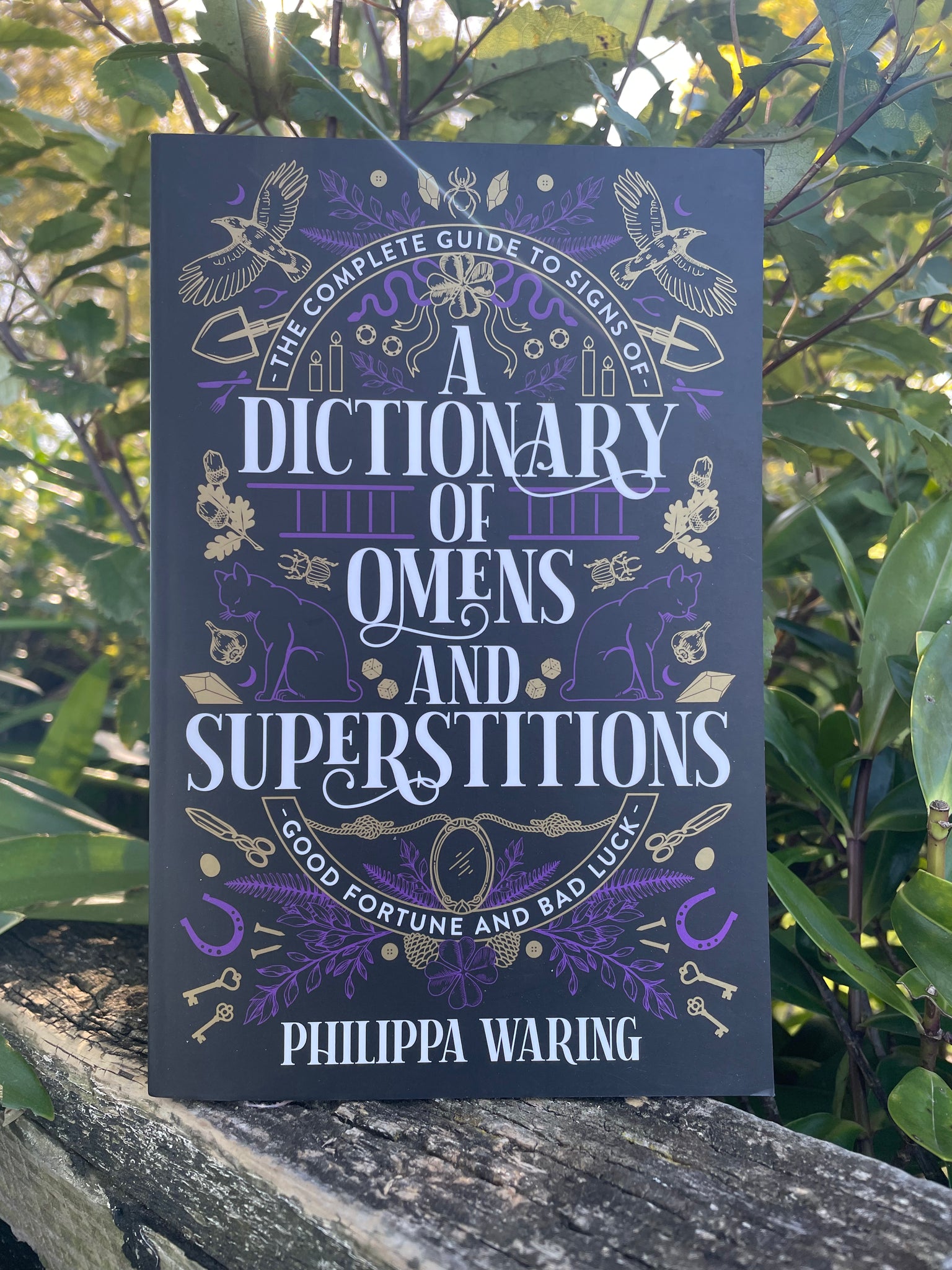 A Dictionary Of Omens And Superstitions Book