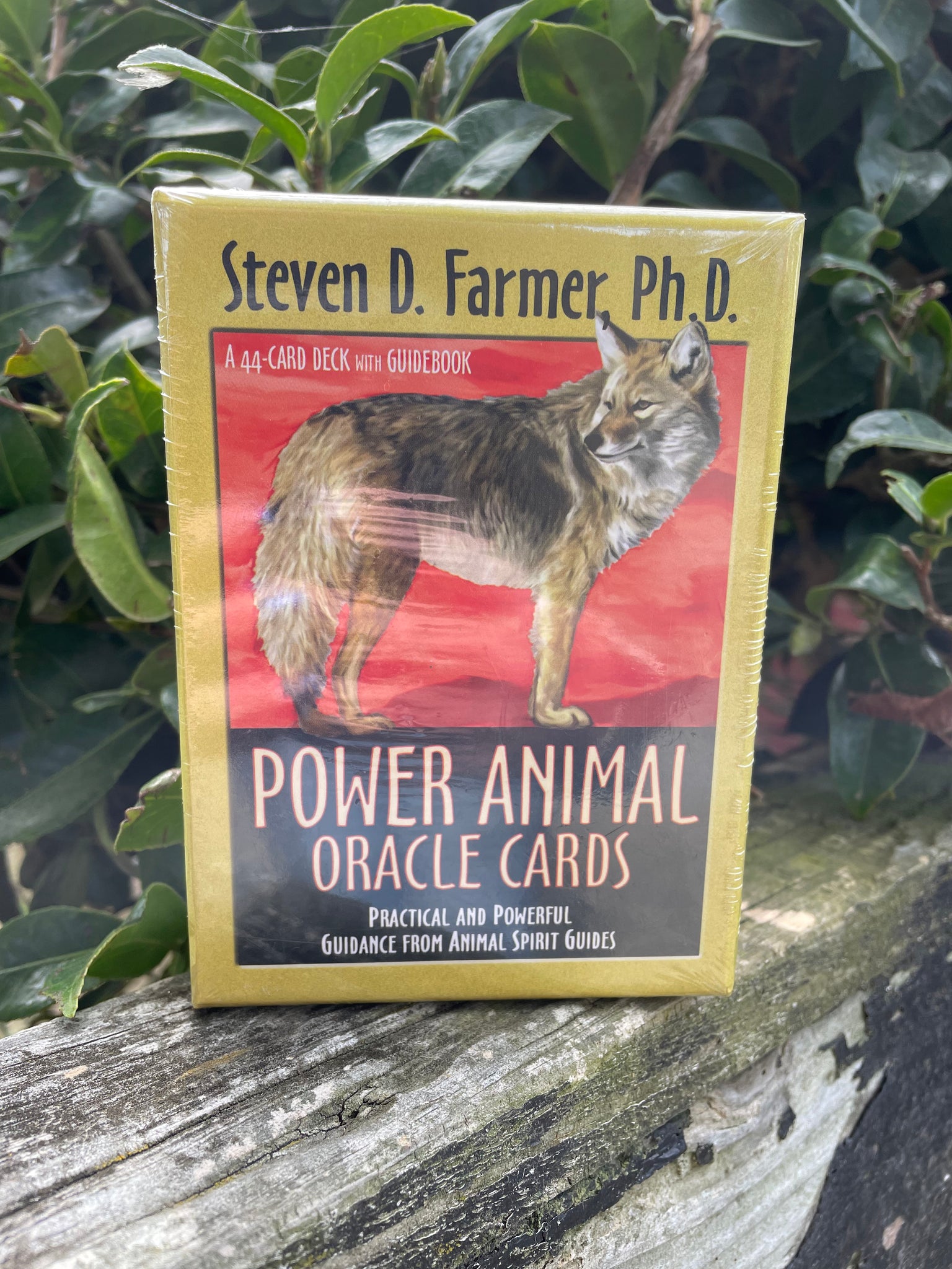 Power Animals Oracle Cards