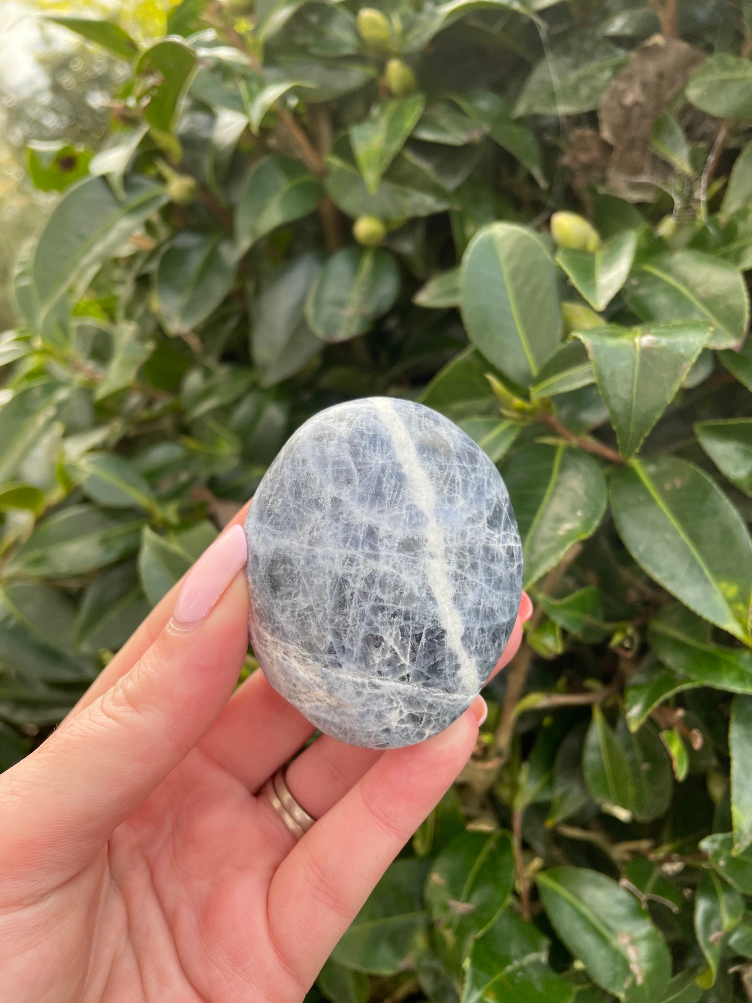 Sodalite Palmstone A