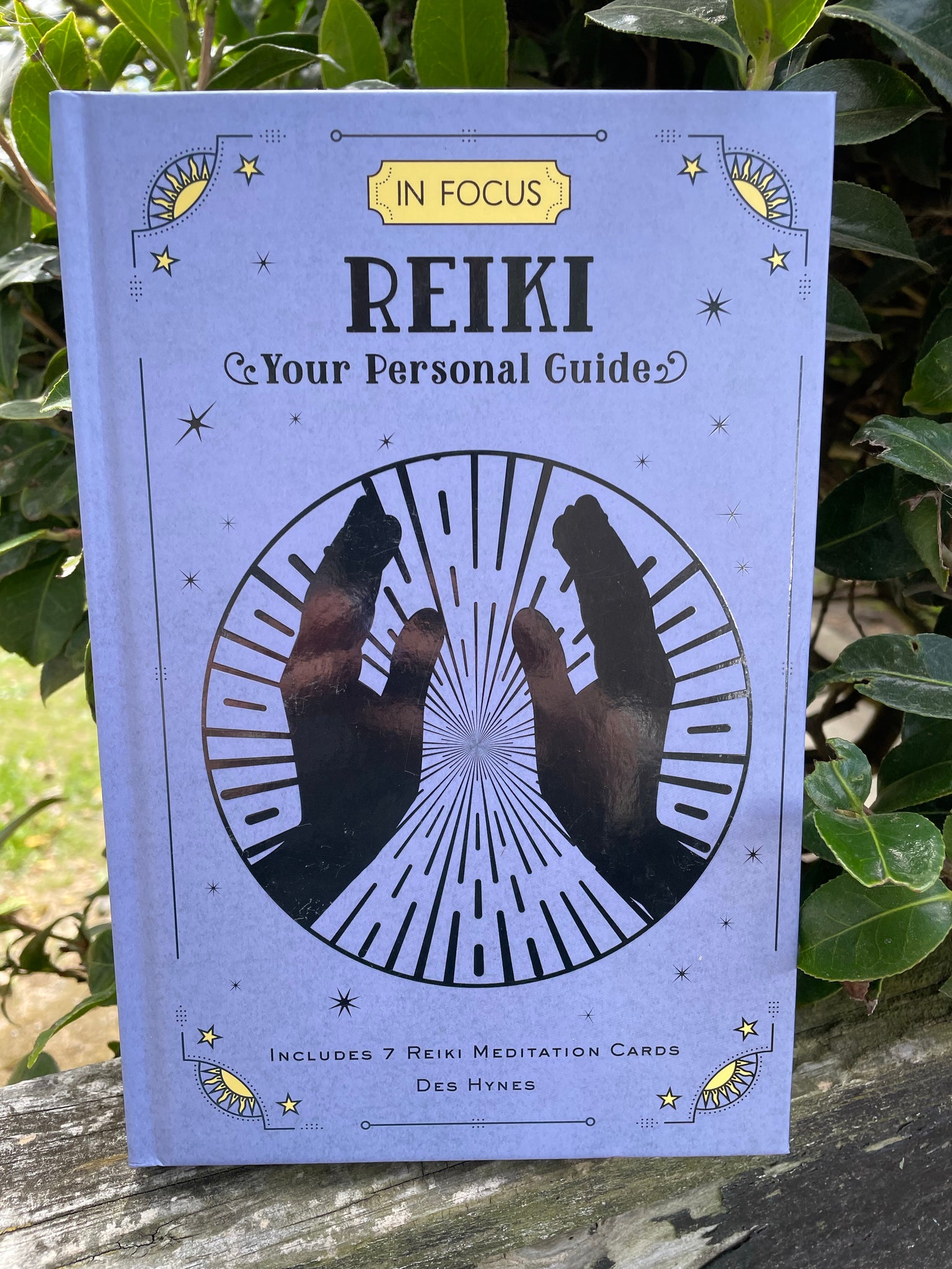 In Focus Reiki Book