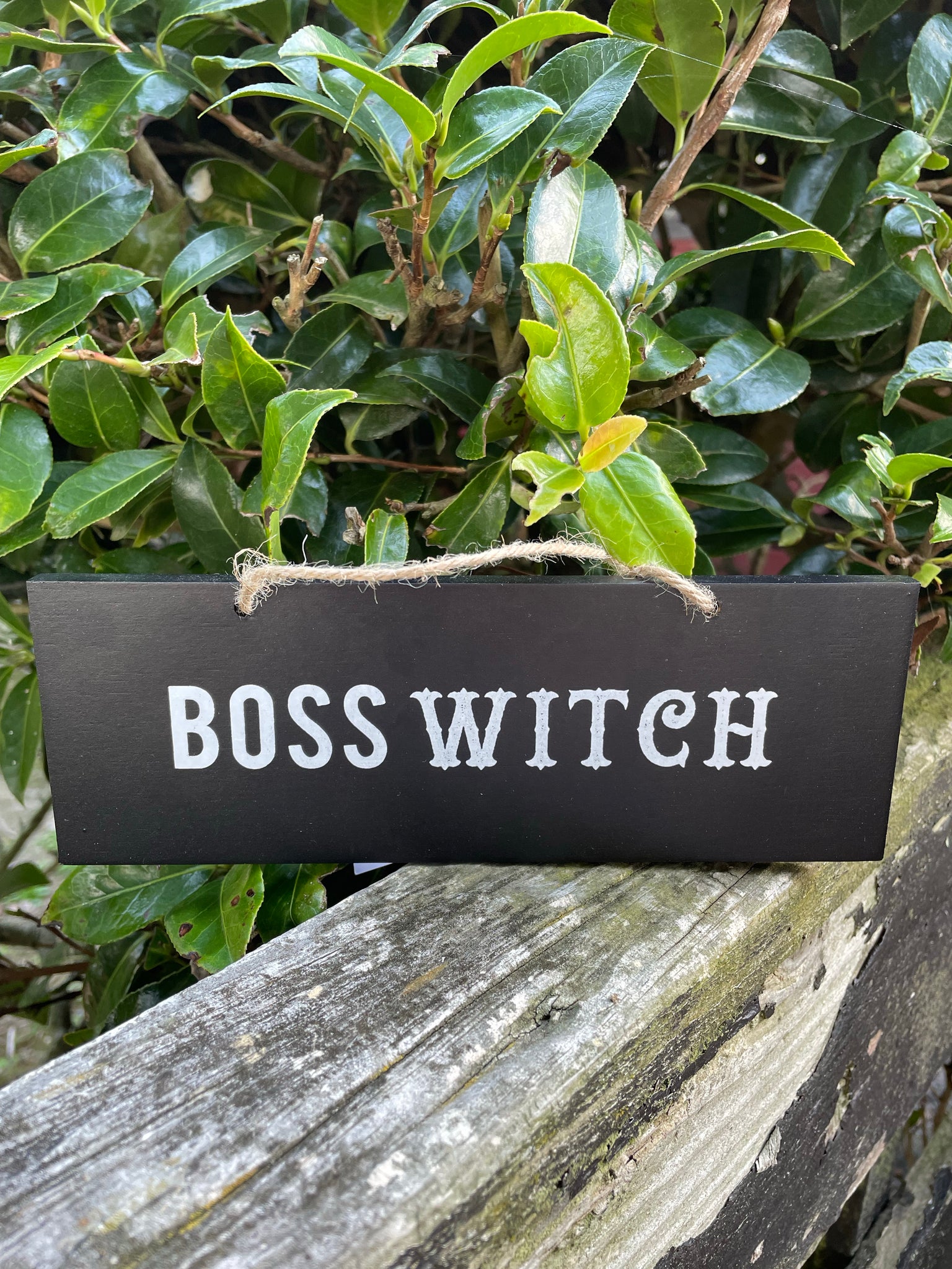 Boss Witch Wooden Sign