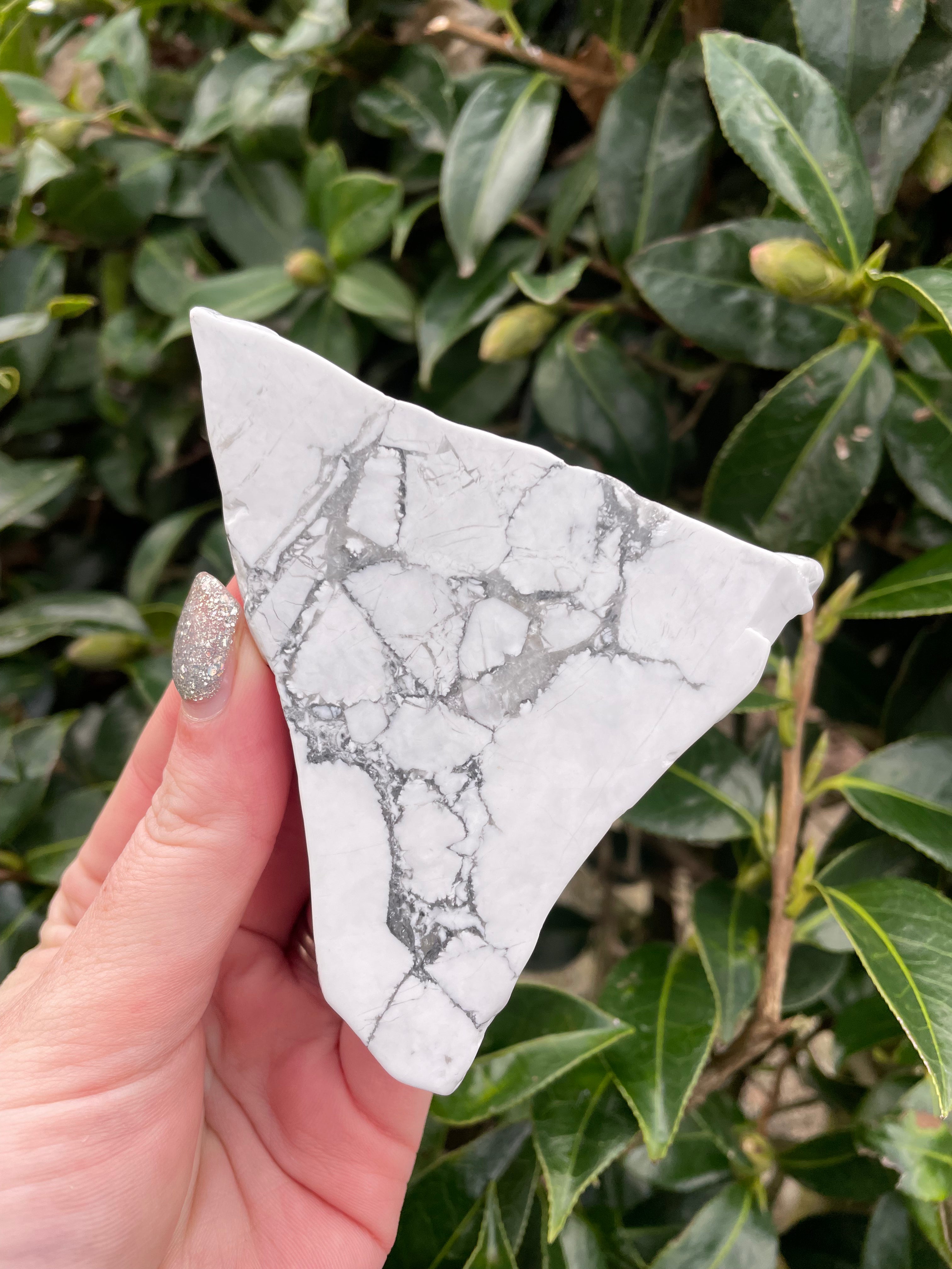 Howlite Slab A – Daughters And Co Crystals